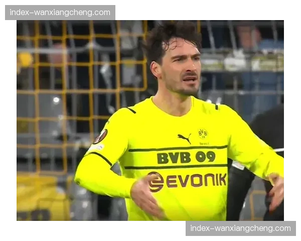 齐沃面色凝重谈劳塔罗伤情：情况相当严重，球队已失去他